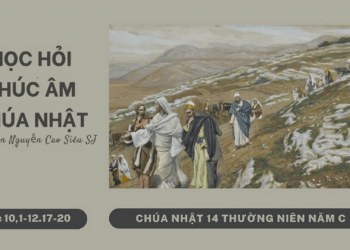 HỌC HỎI PHÚC ÂM CHÚA NHẬT XIV THƯỜNG NIÊN – Năm C