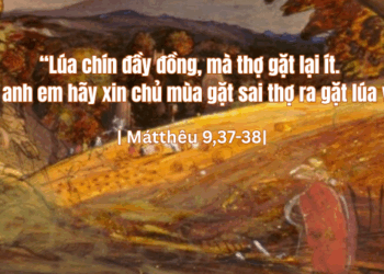 Thứ Ba 08.07.2025 Đừng cản trở người khác