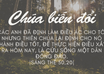 Thứ Bảy 12.07.2025 Yêu Thương – Tha Thứ  để sống và để chết