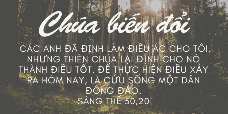 Thứ Bảy 12.07.2025 Yêu Thương – Tha Thứ  để sống và để chết