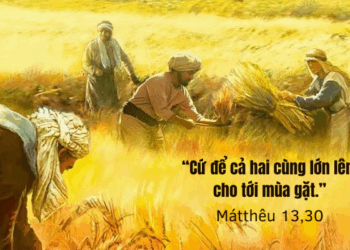 Thứ Bảy  26.07.2025 Xấu tốt cùng lớn lên