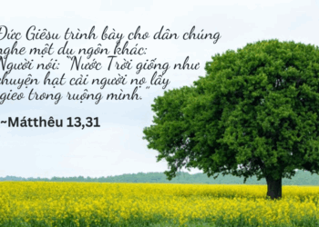 Thứ Hai  28.07.2025 Sự vĩ đại của Nước Trời