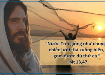 Thứ Năm  31.07.2025 Cá tốt và cá xấu