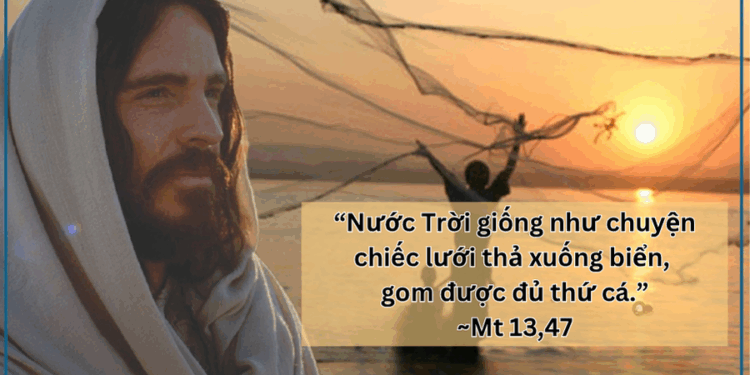 Thứ Năm  31.07.2025 Cá tốt và cá xấu