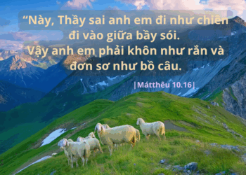 Thứ Sáu 11.07.2025 Khôn ngoan để chiến thắng