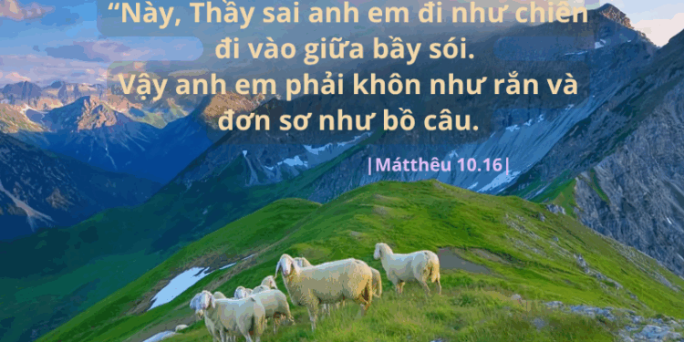 Thứ Sáu 11.07.2025 Khôn ngoan để chiến thắng