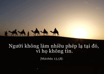 Thứ Sáu  01.08.2025 Được ơn phúc vì tin vào Thiên Chúa