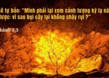 Thứ Tư 16.07.2025 Để biết Chúa