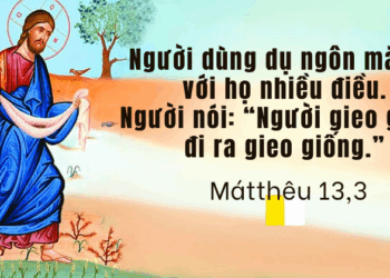 Thứ Tư  23.07.2025 Lắng nghe Lời và thay đổi tâm hồn mình