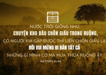 Thứ Tư  30.07.2025 Nước Trời