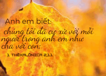 Thứ Tư 27.08.2025 Cộng đoàn Tin Mừng và Yêu Thương