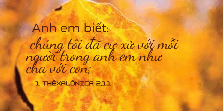 Thứ Tư 27.08.2025 Cộng đoàn Tin Mừng và Yêu Thương