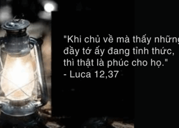 Chúa Nhật 10.08.2025 Cùng phúc cùng hoạ trên hành trình đức tin!