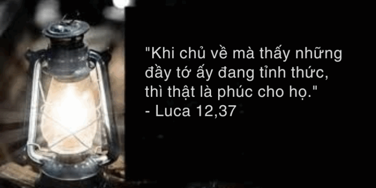 Chúa Nhật 10.08.2025 Cùng phúc cùng hoạ trên hành trình đức tin!
