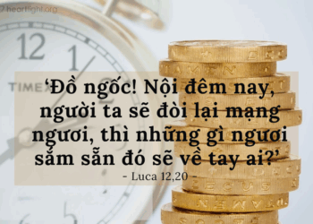 Chúa Nhật  03.08.2025 Cuộc đời mang giá trị chuyển tiếp