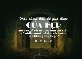Chúa Nhật 24.08.2025 Nỗ lực qua cửa hẹp