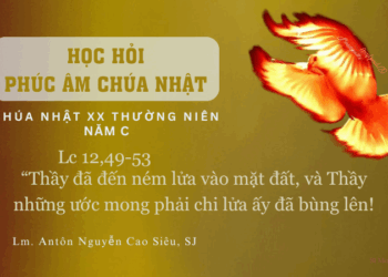 HỌC HỎI PHÚC ÂM CHÚA NHẬT XX THƯỜNG NIÊN – Năm C