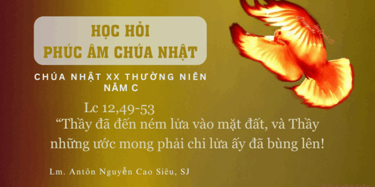 HỌC HỎI PHÚC ÂM CHÚA NHẬT XX THƯỜNG NIÊN – Năm C