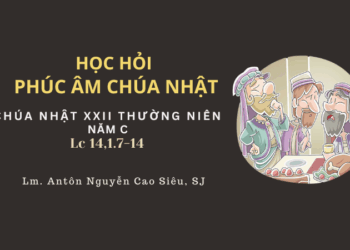 HỌC HỎI PHÚC ÂM CHÚA NHẬT XXII THƯỜNG NIÊN – Năm C