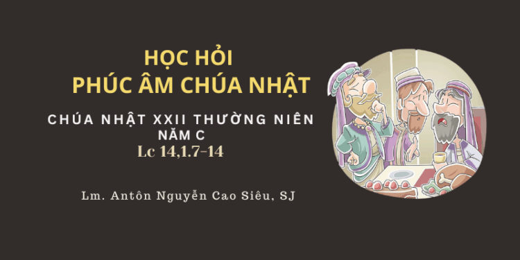 HỌC HỎI PHÚC ÂM CHÚA NHẬT XXII THƯỜNG NIÊN – Năm C