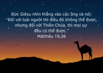 Thứ Ba 19.08.2025 Với Chúa mọi sự đều có thể