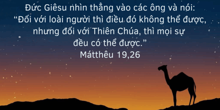 Thứ Ba 19.08.2025 Với Chúa mọi sự đều có thể