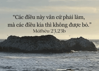 Thứ Ba 26.08.2025 Giữ mọi điều Chúa dạy