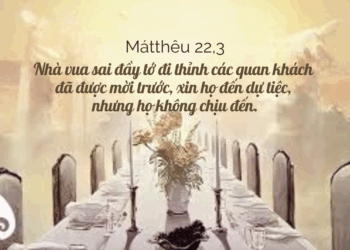 Thứ Năm 21.08.2025 Dửng dụng và phản kháng