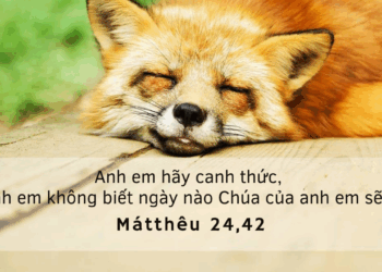 Thứ Năm 28.08.2025 Trung tín và khôn ngoan