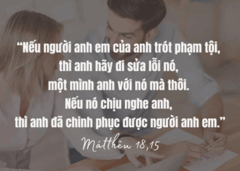 Thứ Tư 12.08.2025 Sửa lỗi cho nhau