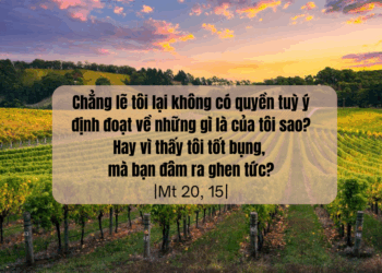 Thứ Tư 20.08.2025 Muốn hơn người và khẳng định bản thân