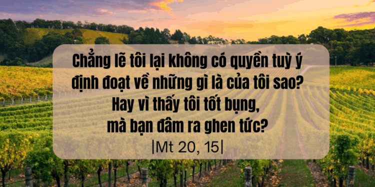 Thứ Tư 20.08.2025 Muốn hơn người và khẳng định bản thân