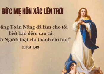 Thứ Sáu 15.08.2025 Được cứu độ và là  Mẹ những người được cứu độ