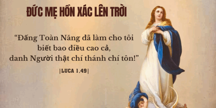 Thứ Sáu 15.08.2025 Được cứu độ và là  Mẹ những người được cứu độ