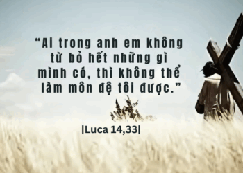 Chúa Nhật 07.09.2025 Từ bỏ hết mọi sự