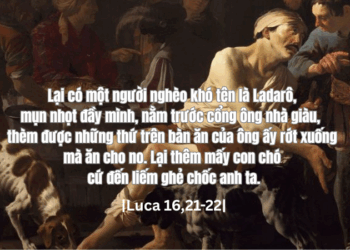 Chúa Nhật 28.09.2025 Con chó ngày ngày liếm ghẻ