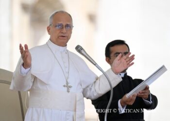 ĐTC Lêô XIV – Loạt Bài Giáo lý Năm Thánh 2025 7. Cái chết – “Trong vườn có một ngôi mộ mới, nơi chưa chôn ai bao giờ” (Ga 19,41)