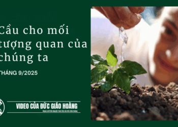 THÁNG CHÍN | Cầu cho mối tương quan của chúng ta với toàn thể thụ tạo