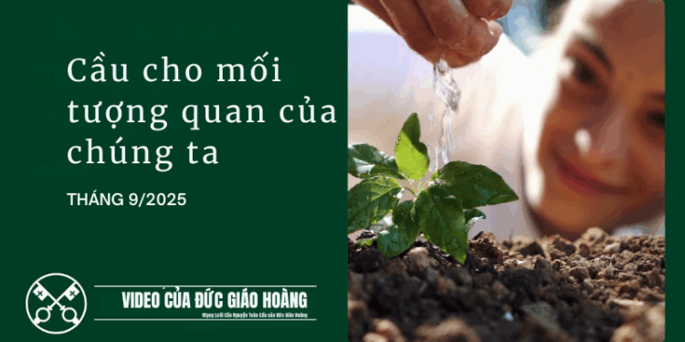 THÁNG CHÍN | Cầu cho mối tương quan của chúng ta với toàn thể thụ tạo