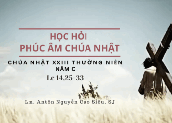 HỌC HỎI PHÚC ÂM CHÚA NHẬT XXIII THƯỜNG NIÊN – Năm C
