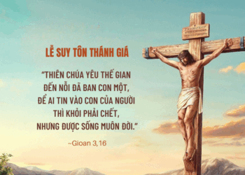 Chúa Nhật 14.09.2025 Tôn vinh Tình yêu