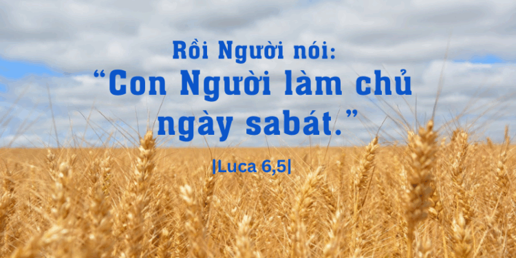 Thứ Bảy 06.09.2025 Có Đạo và Có Chúa