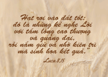 Thứ Bảy 20.09.2025 Đón nhận Lời Chúa