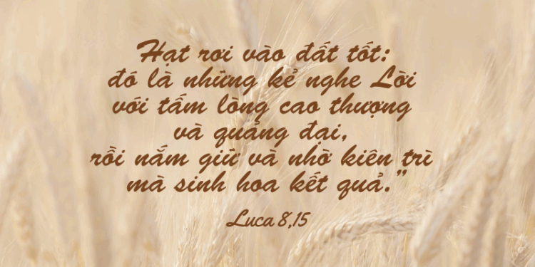 Thứ Bảy 20.09.2025 Đón nhận Lời Chúa