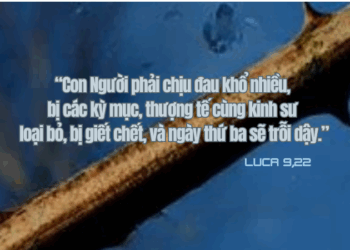 Thứ Sáu 26.09.2025 Chịu đau khổ nhiều