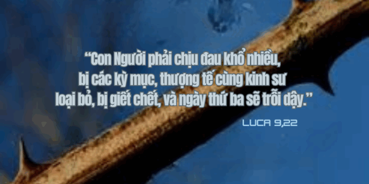 Thứ Sáu 26.09.2025 Chịu đau khổ nhiều