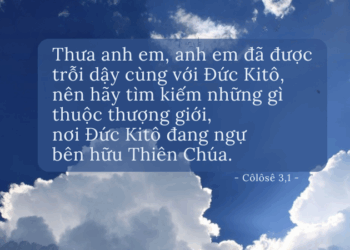 Thứ Tư 10.09.2025 Làm lớn lên sự sống tiềm năng của Chúa Kitô