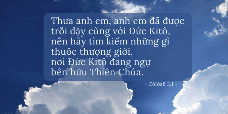 Thứ Tư 10.09.2025 Làm lớn lên sự sống tiềm năng của Chúa Kitô