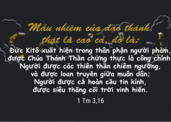 Thứ Tư 17.09.2025 Mầu niệm Chúa Kitô nơi thân phận con người