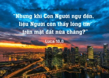 Chúa Nhật 19.10.2025 Loan báo niềm hy vọng